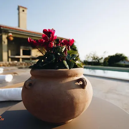 Romantic With Pool, Beautiful Nature And The Sea View - By Traveler Tourist Agency Krk Id 2184 Villa Linardići